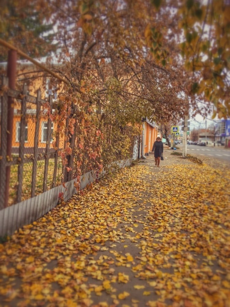 Фотография автора Ирина Курмалеева