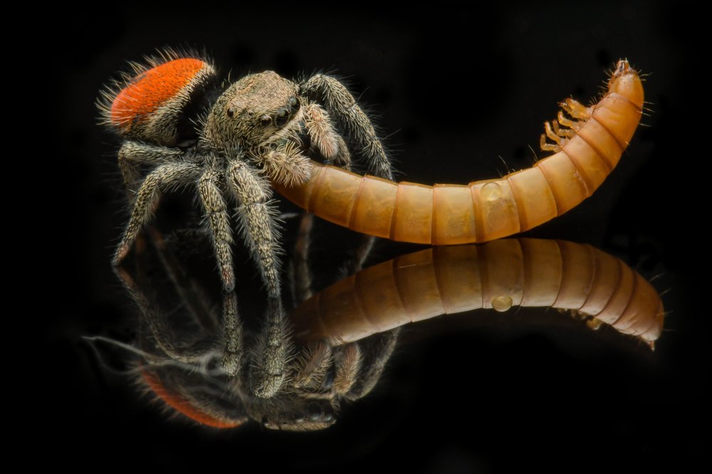 Photograph by Setiadi Ajar