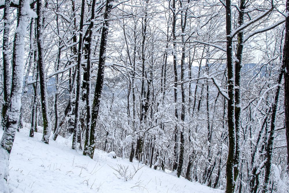 Photograph by Роман Приходько