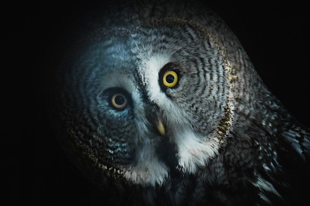 Photograph by Ирина Окладникова