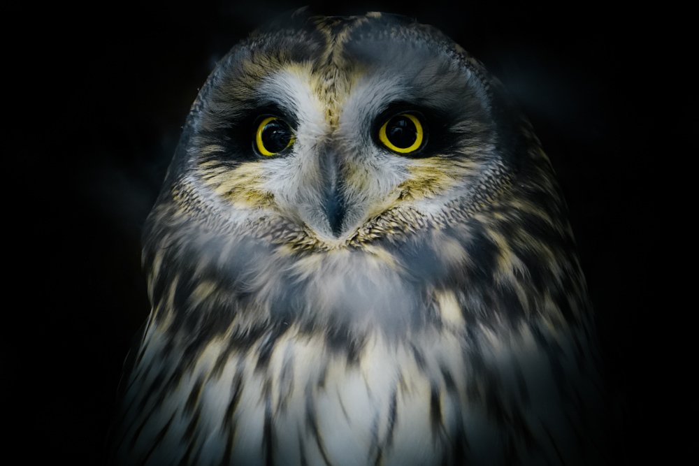 Photograph by Ирина Окладникова