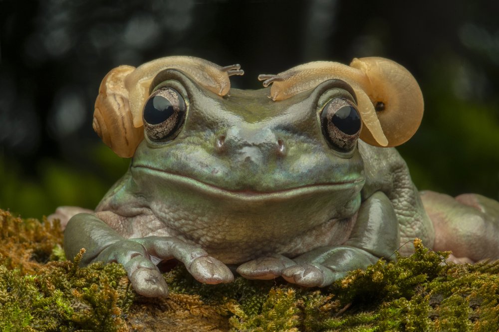 Photograph by Setiadi Ajar