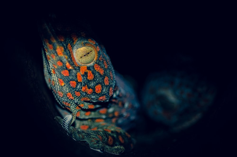 Photograph by Дмитрий Николаев