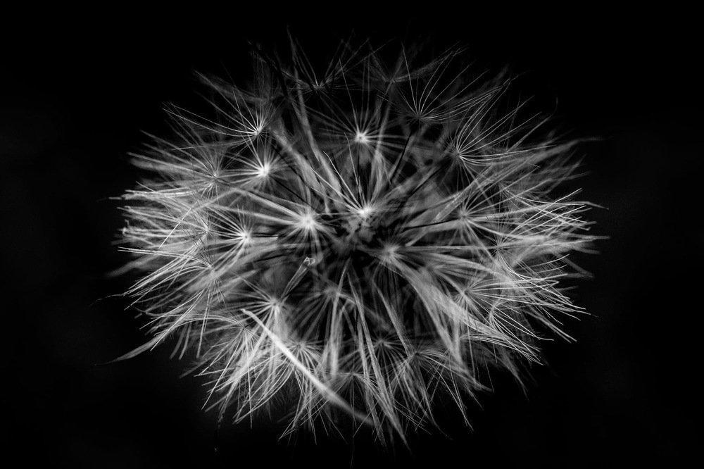 Photograph by Adrian Budd