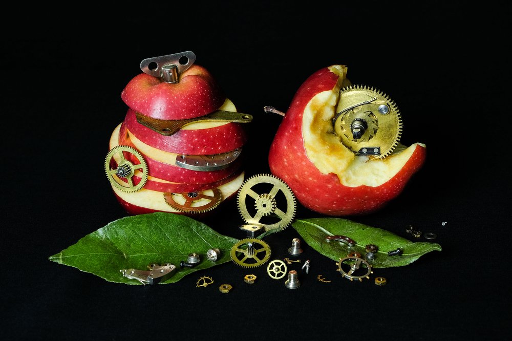 Photograph by Данил Мандрыгин