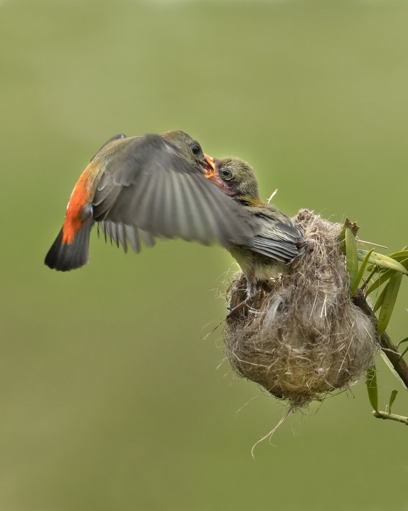Photograph by Setiadi Ajar