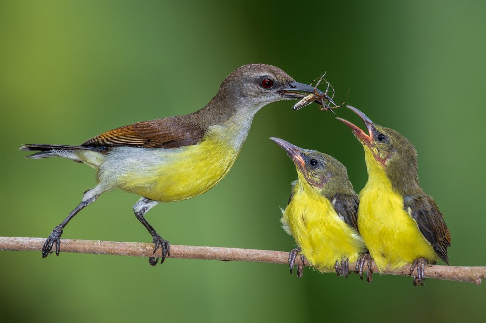 Photograph by Subhra Mandal