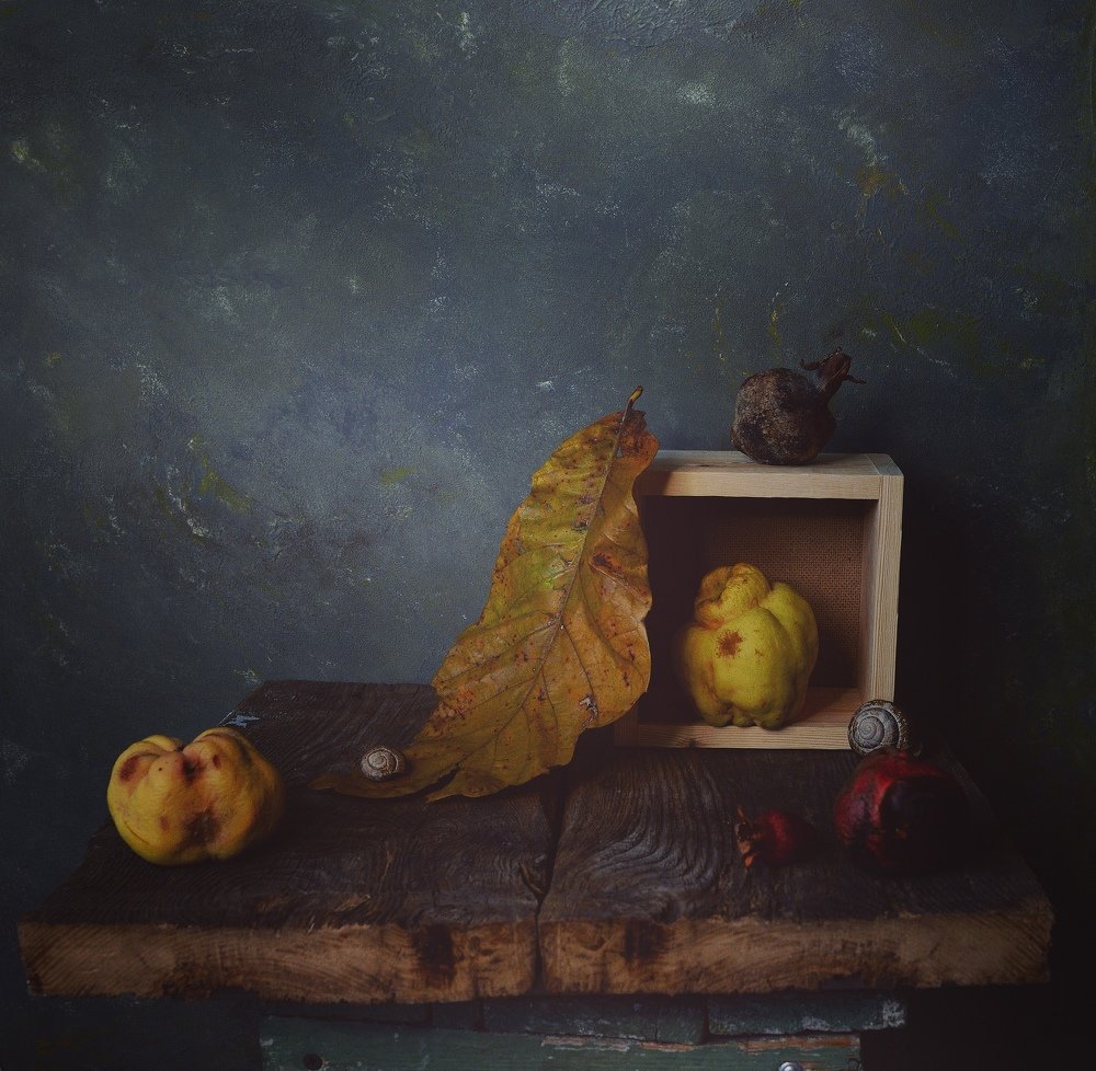 Photograph by Валерия Левшина