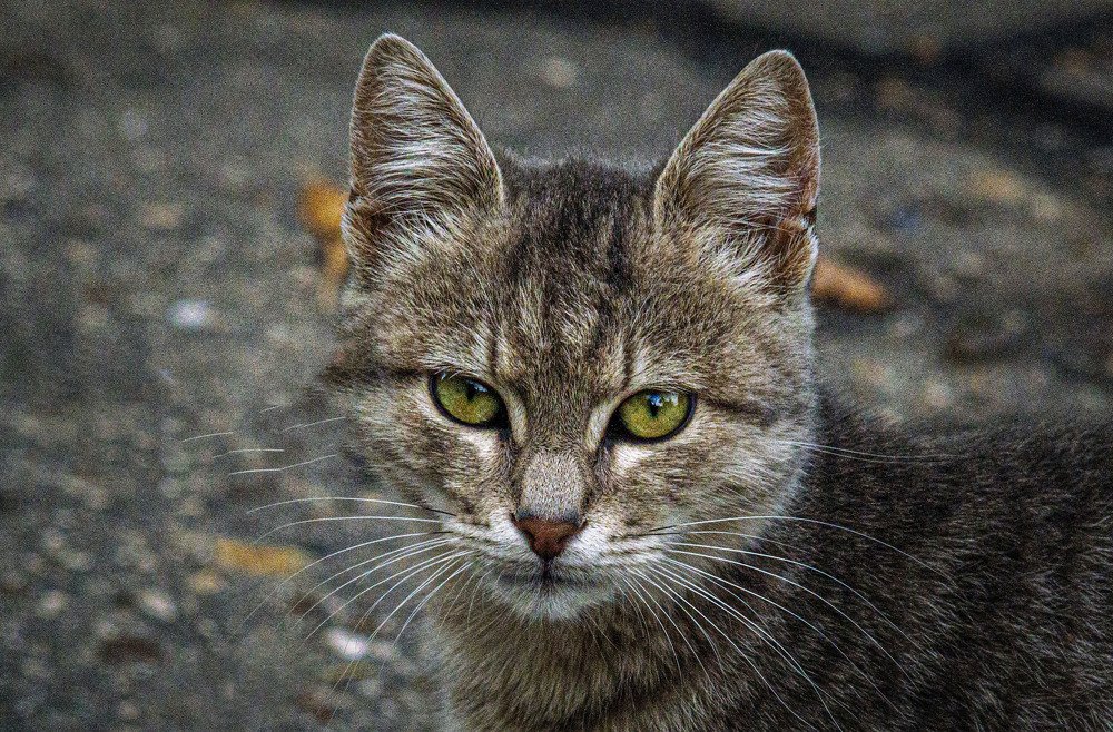 Photograph by Ирина Федорова