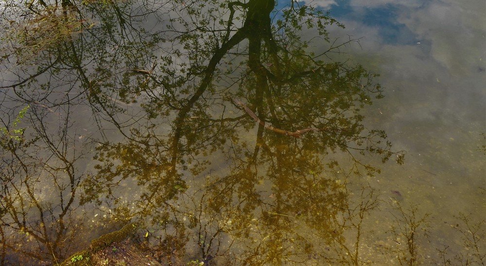 Photograph by Mageira Lia