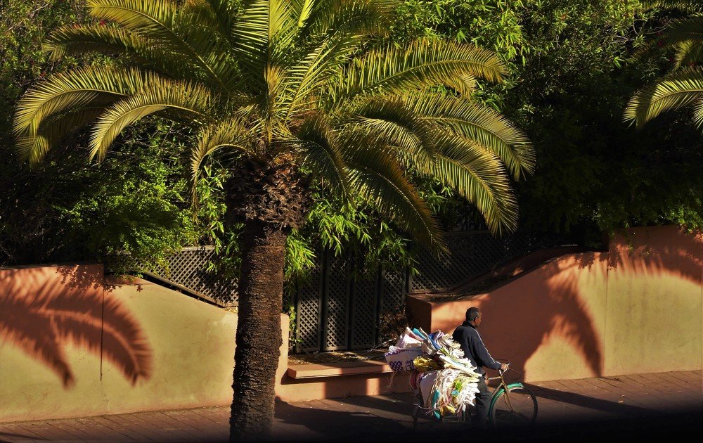 Photograph by Mageira Lia