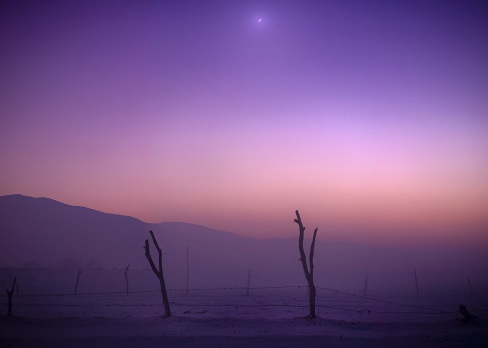 Photograph by Amir Ramezani