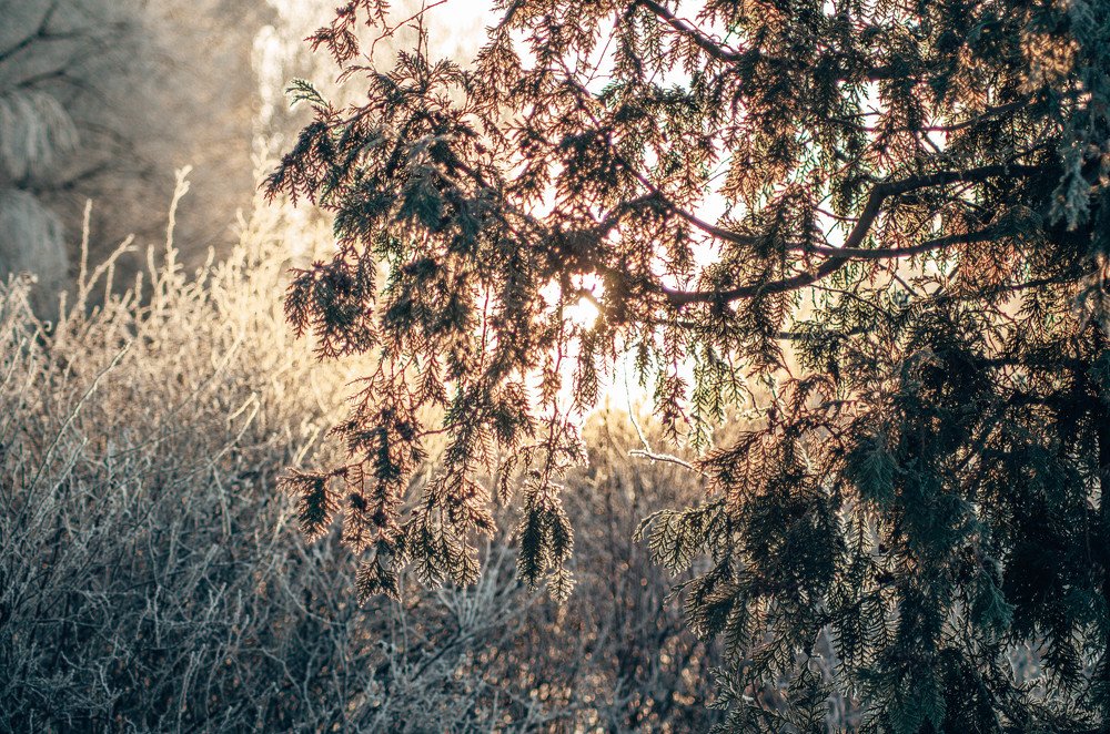 Photograph by Ксения Корсакова