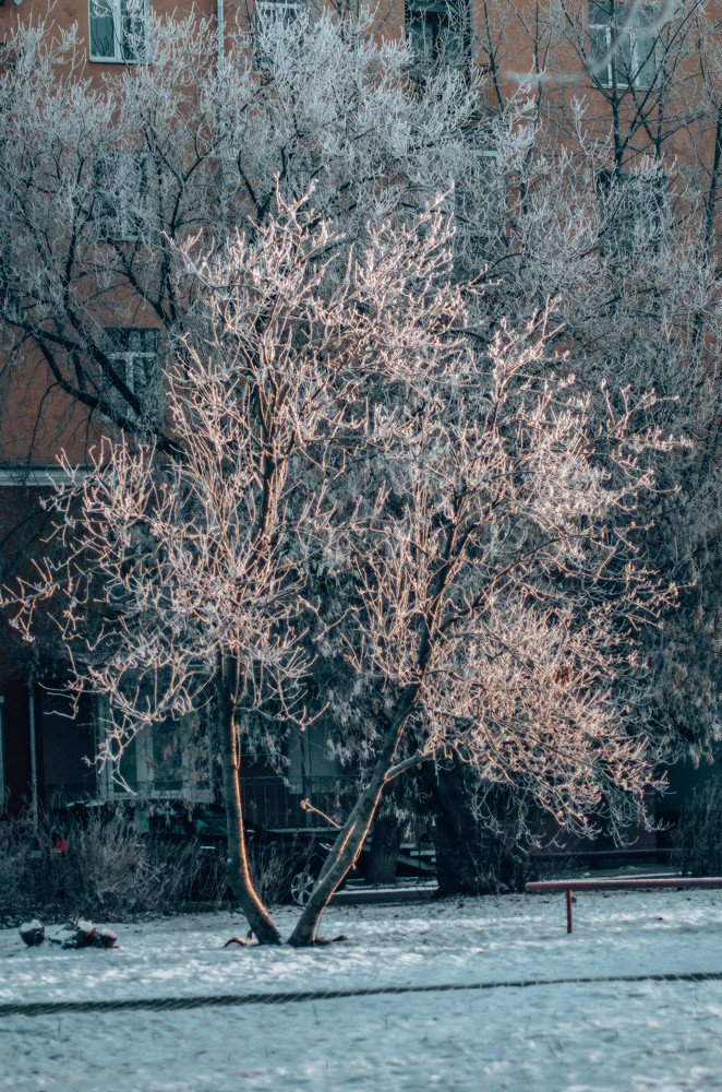 Photograph by Ксения Корсакова