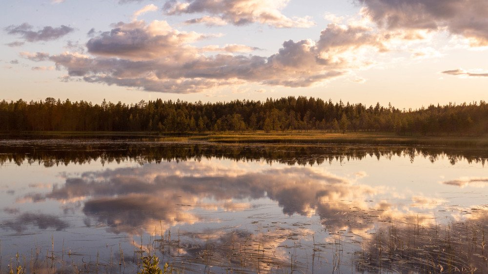 Photograph by Андрей Шаронов