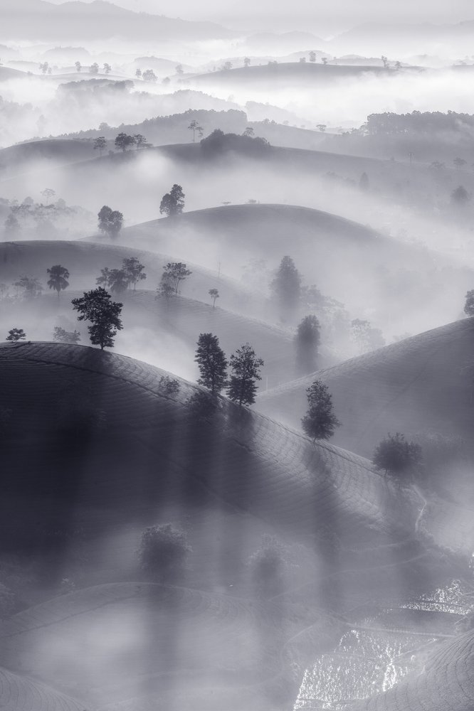 Photograph by Cao Tuan