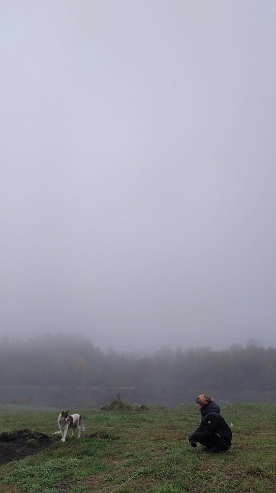 Photograph by Денис Литвинов