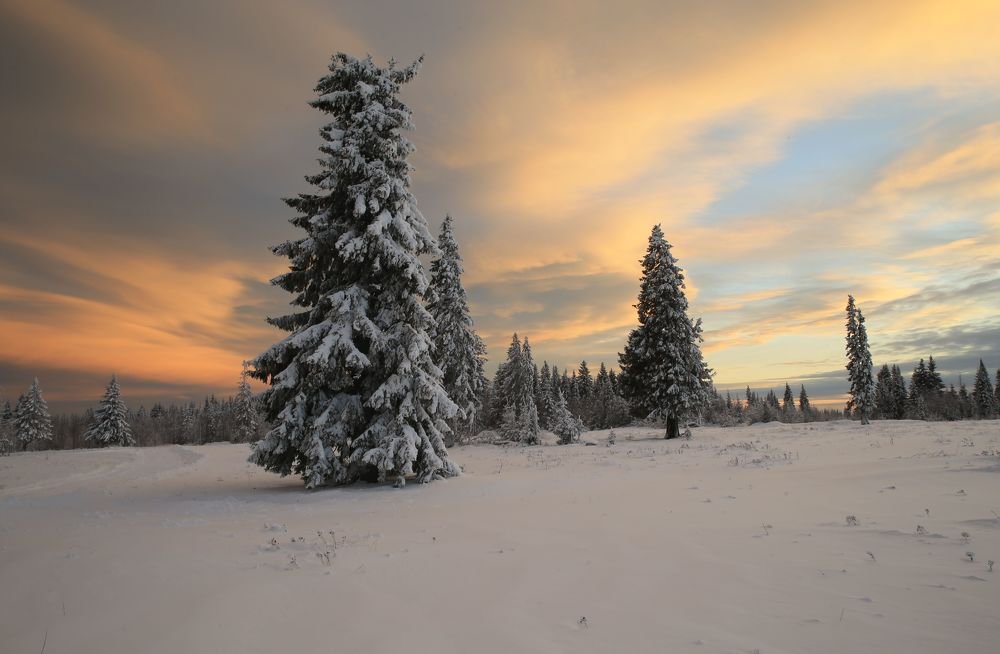 Фотография автора Юрий Кетель