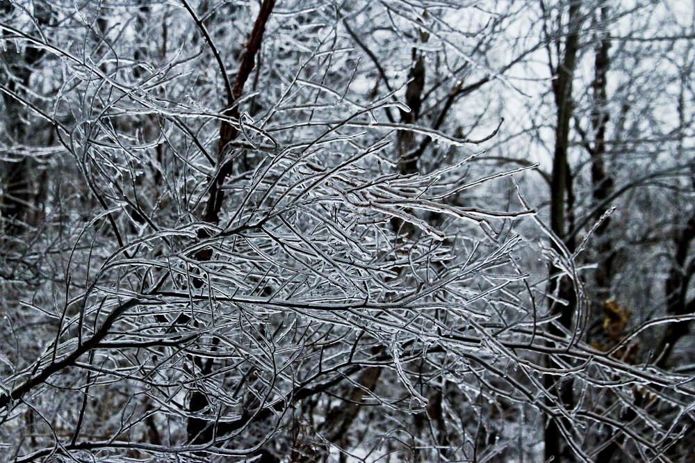 Ледяной пейзаж.