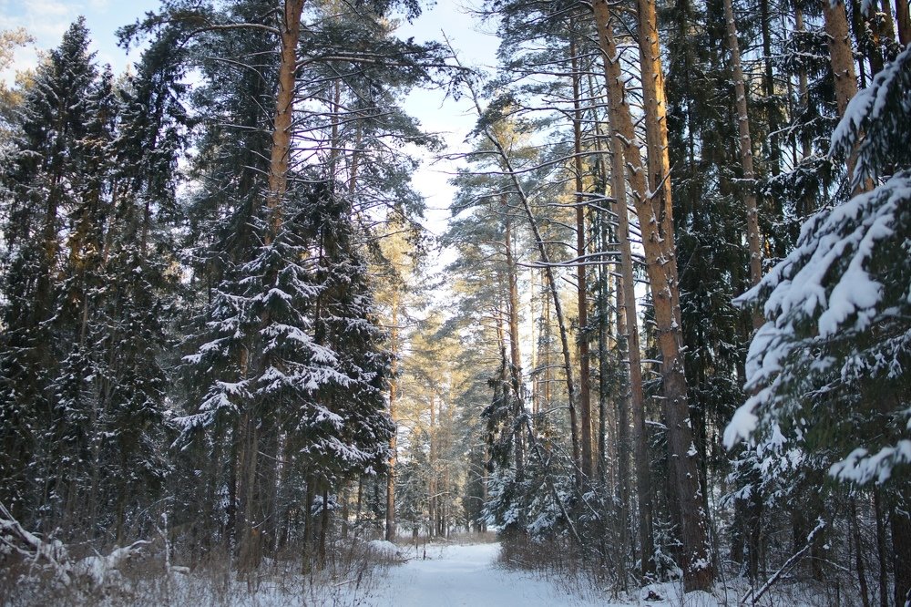 Photograph by Марина Варанкина