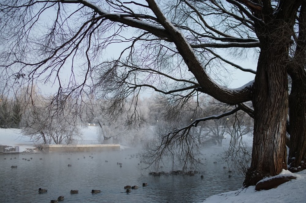 Photograph by Марина Варанкина