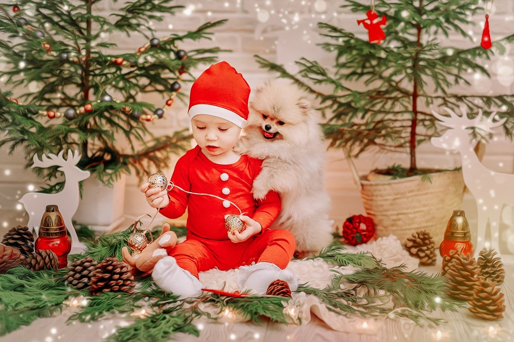 Photograph by Анастасия Алексеева