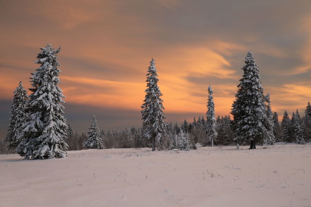 Фотография автора Юрий Кетель