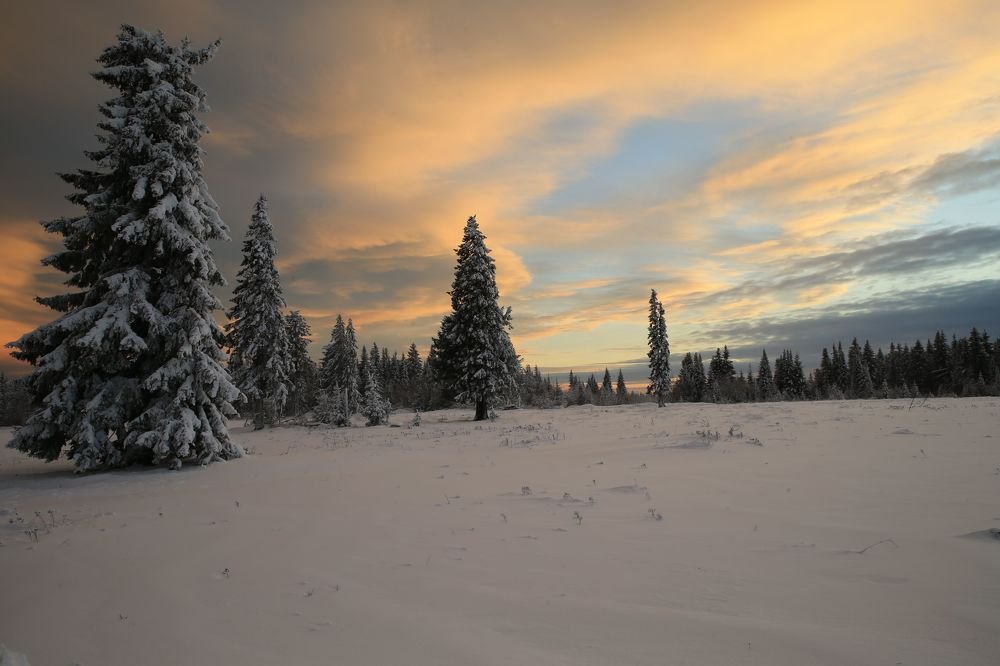 Фотография автора Юрий Кетель