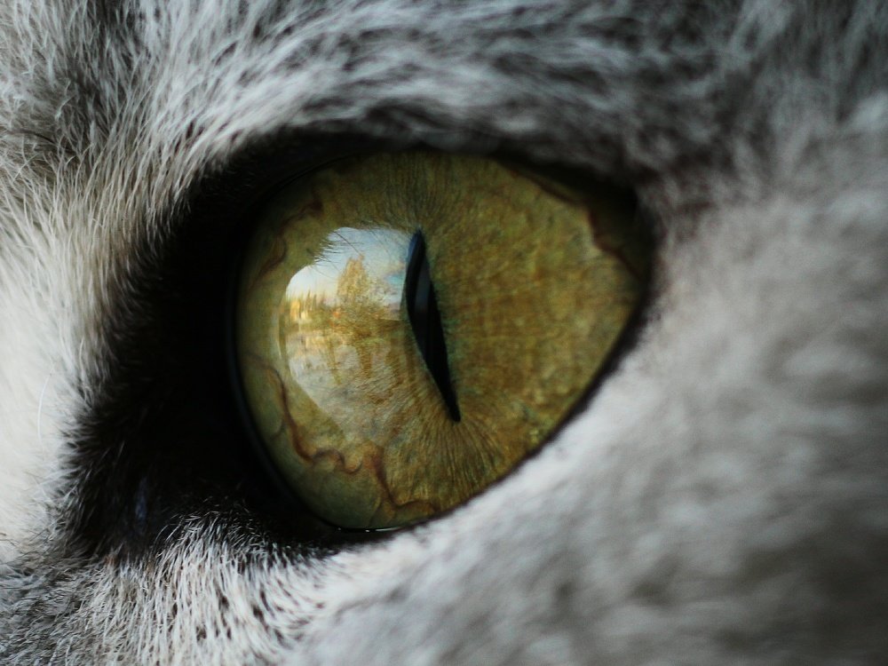 Photograph by Светлана Богомолова