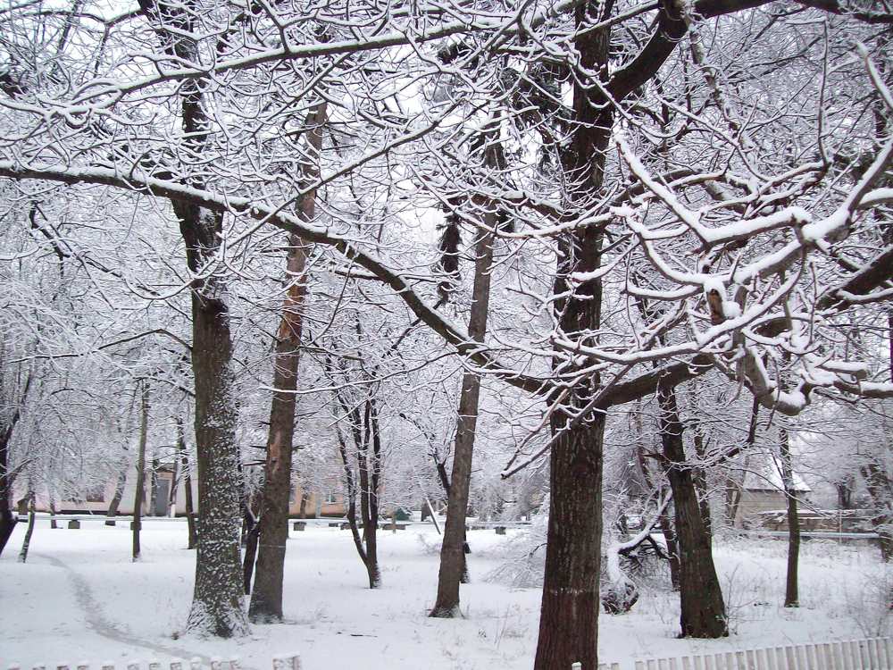Photograph by Надежда Титова