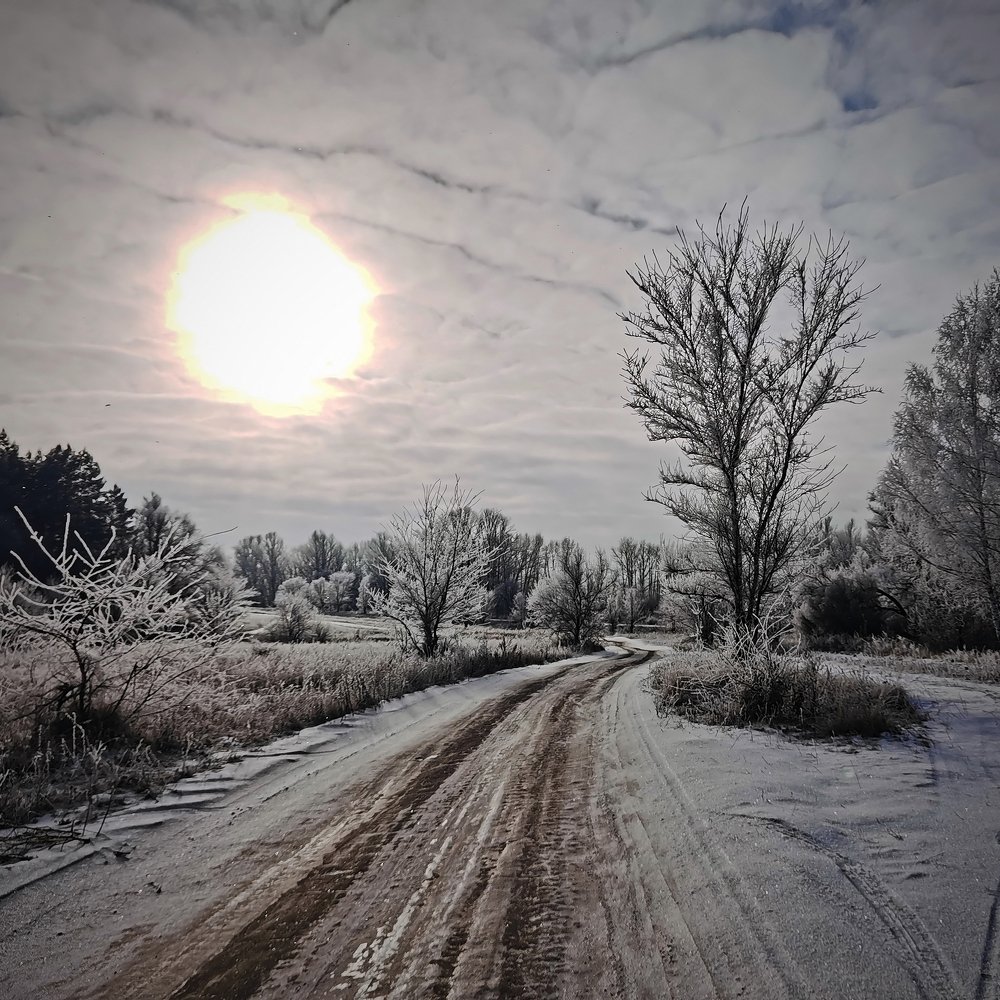 Photograph by Карякин Александр