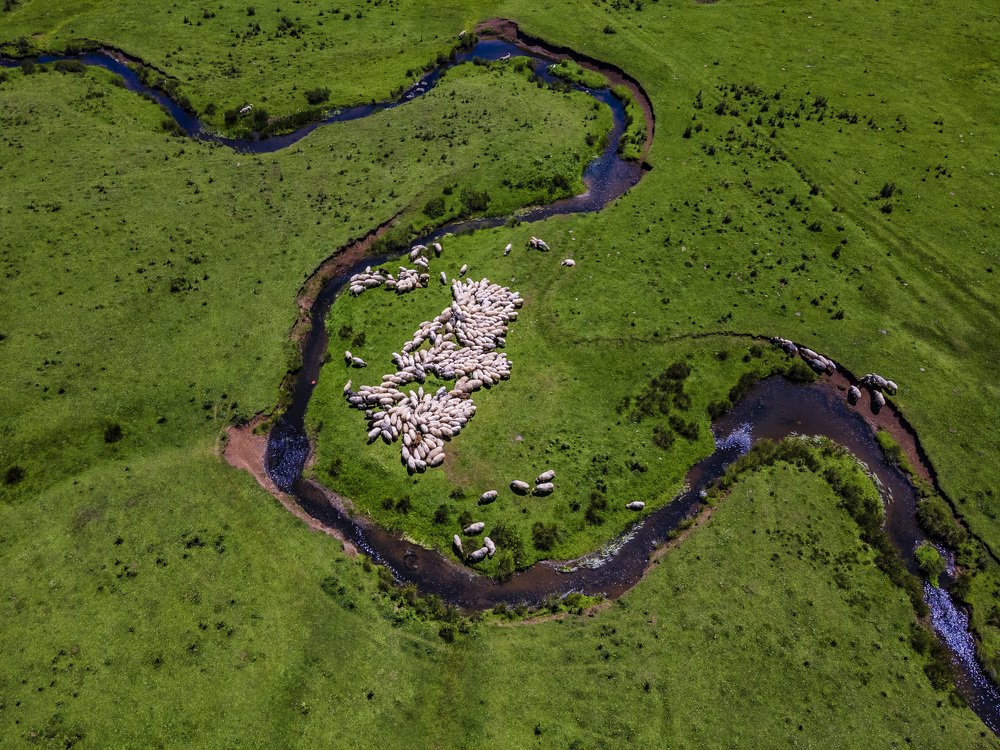 Photograph by Filiz CAGLAR