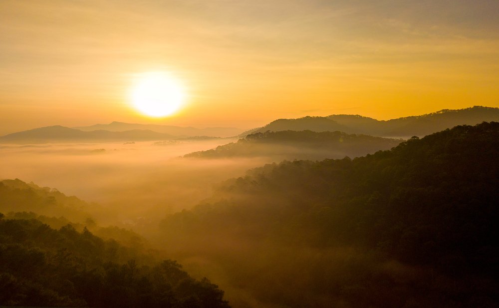 Photograph by Van Nguyen