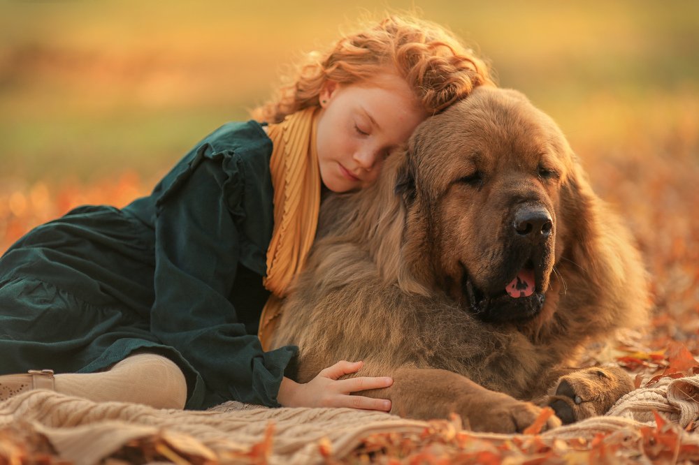 Photograph by Анастасия Кочеткова