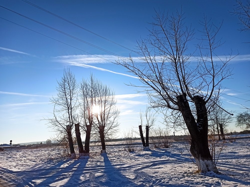 Photograph by Мария Культикова