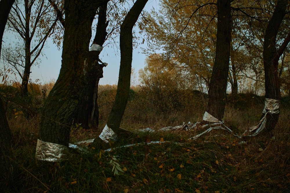 Photograph by Віталій Дячик