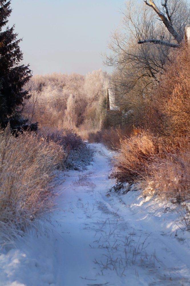 Photograph by Таня Короткова