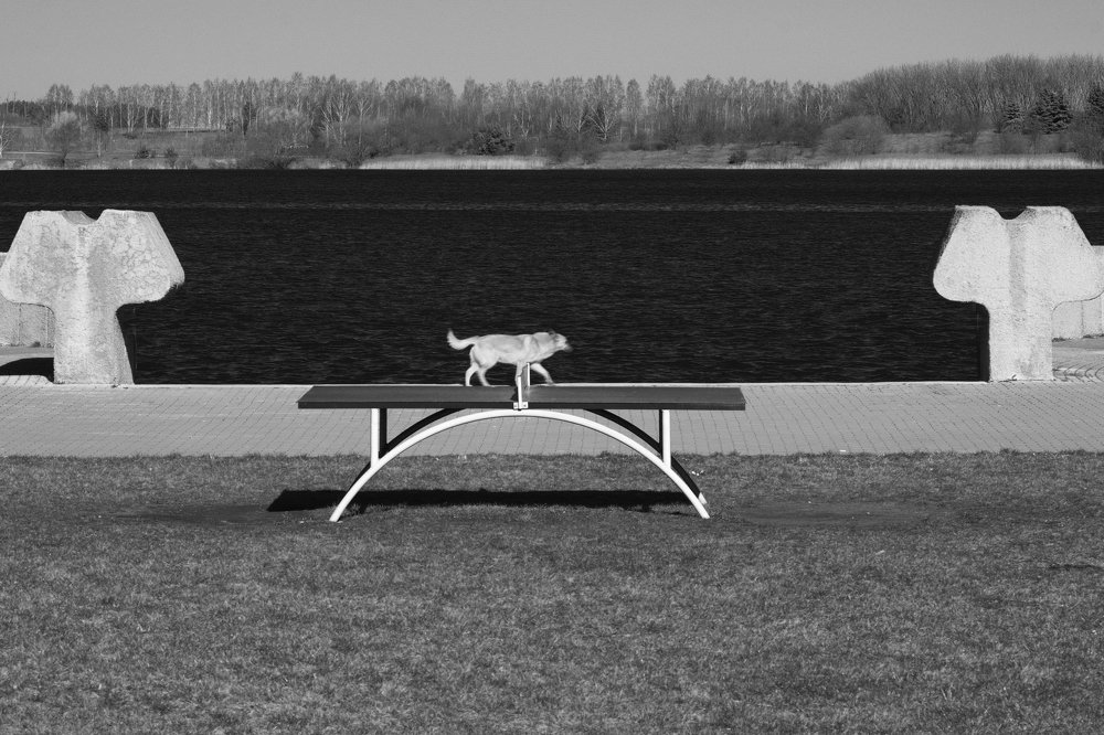 @ перфекционизм