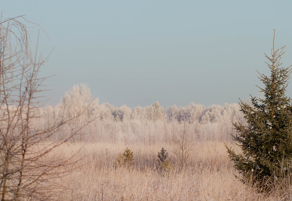 Photograph by Таня Короткова