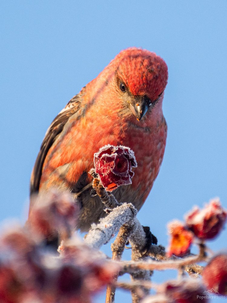 Photograph by Анастасия Попельская