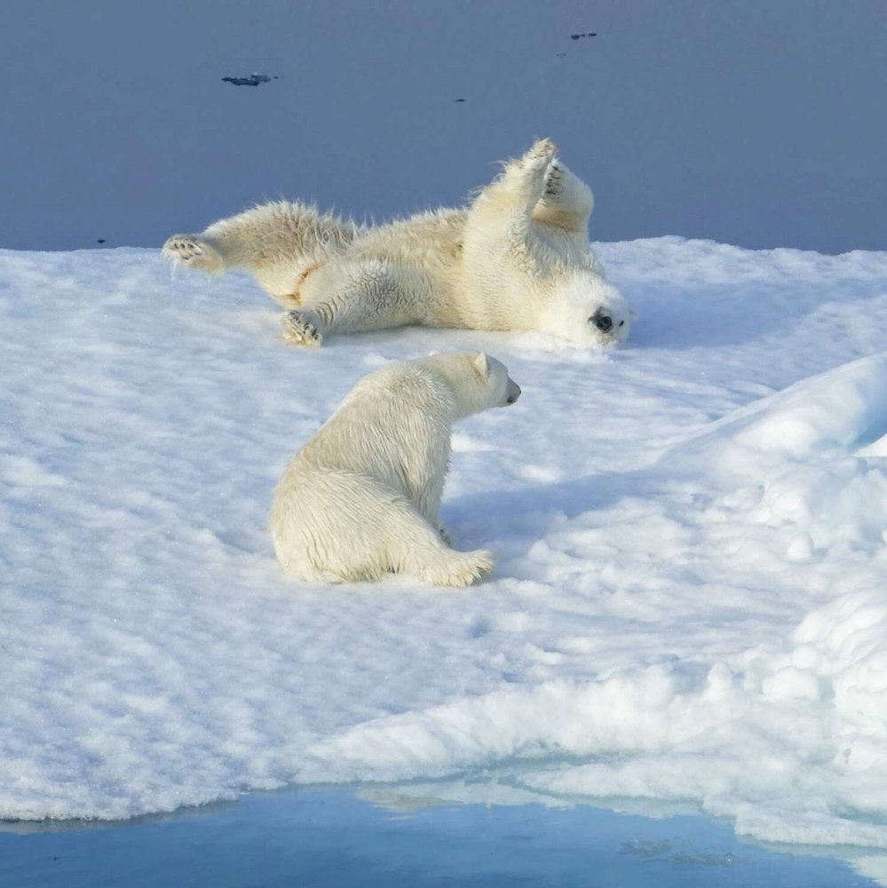 Photograph by Tatyana