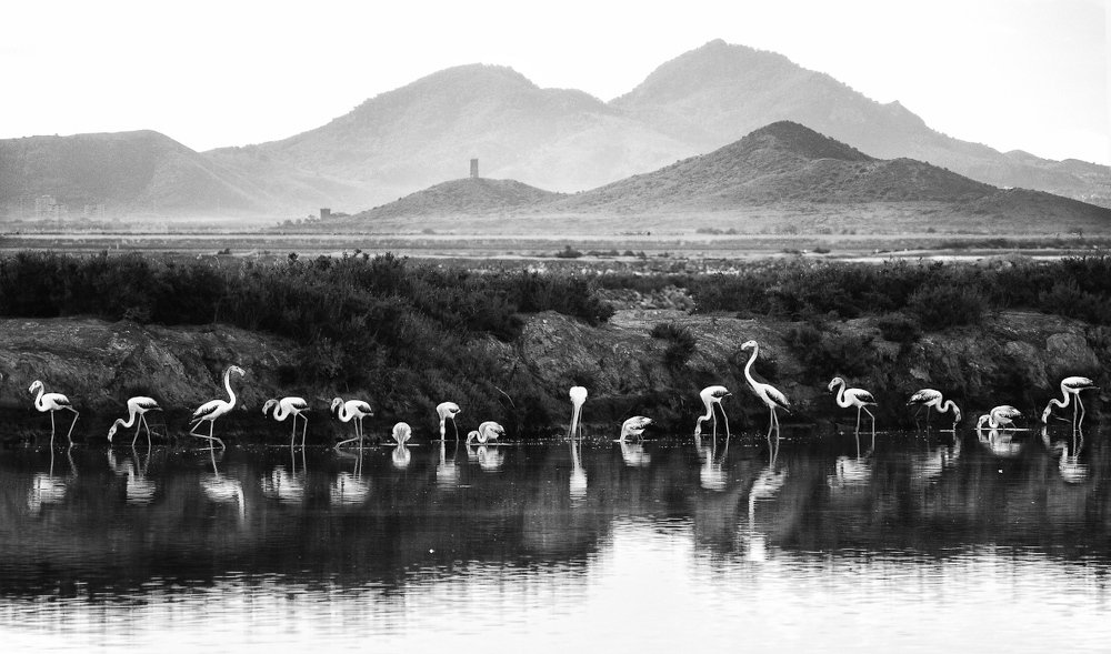 Photograph by Людмила Сиденко