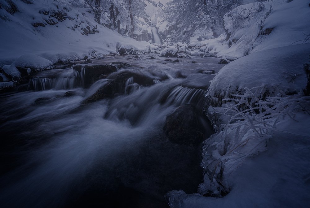 Photograph by Juan Casas