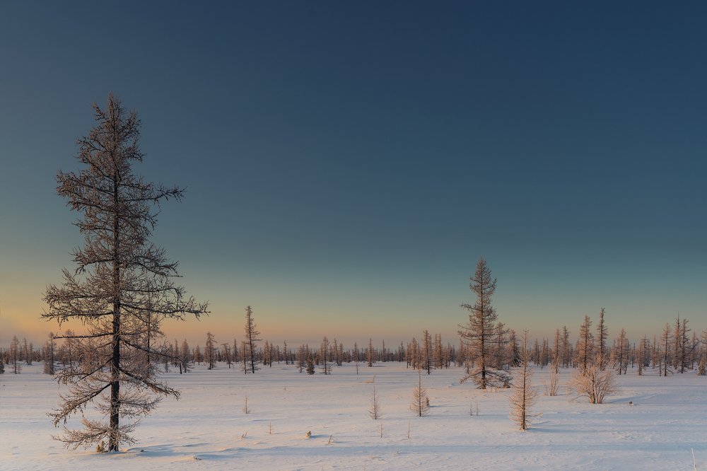 Фотография автора Евгения Шаравар