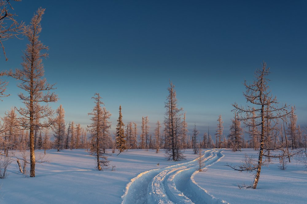 Фотография автора Евгения Шаравар