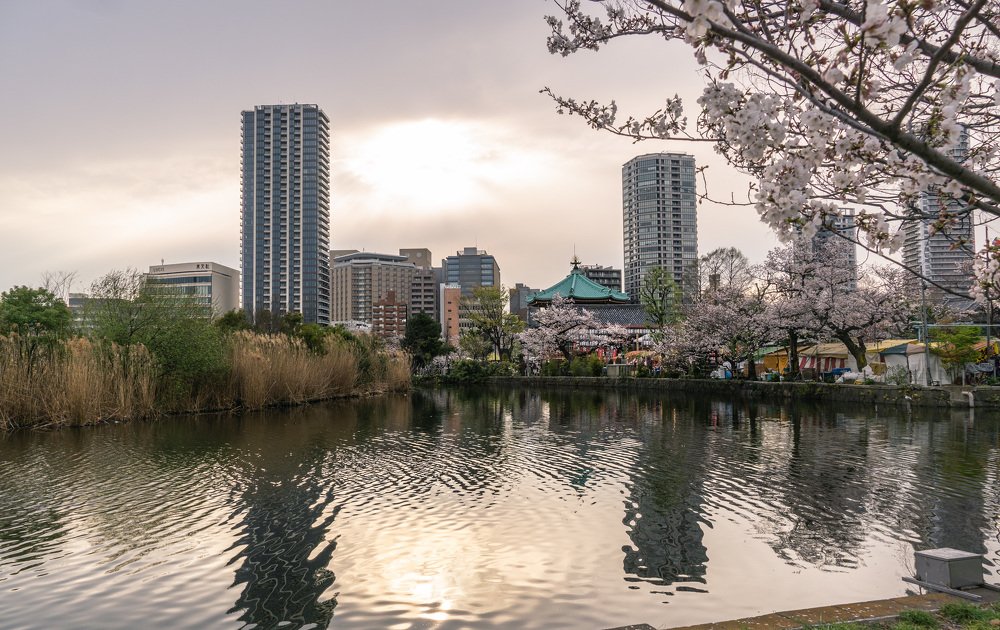 Photograph by Jeni Vladeva