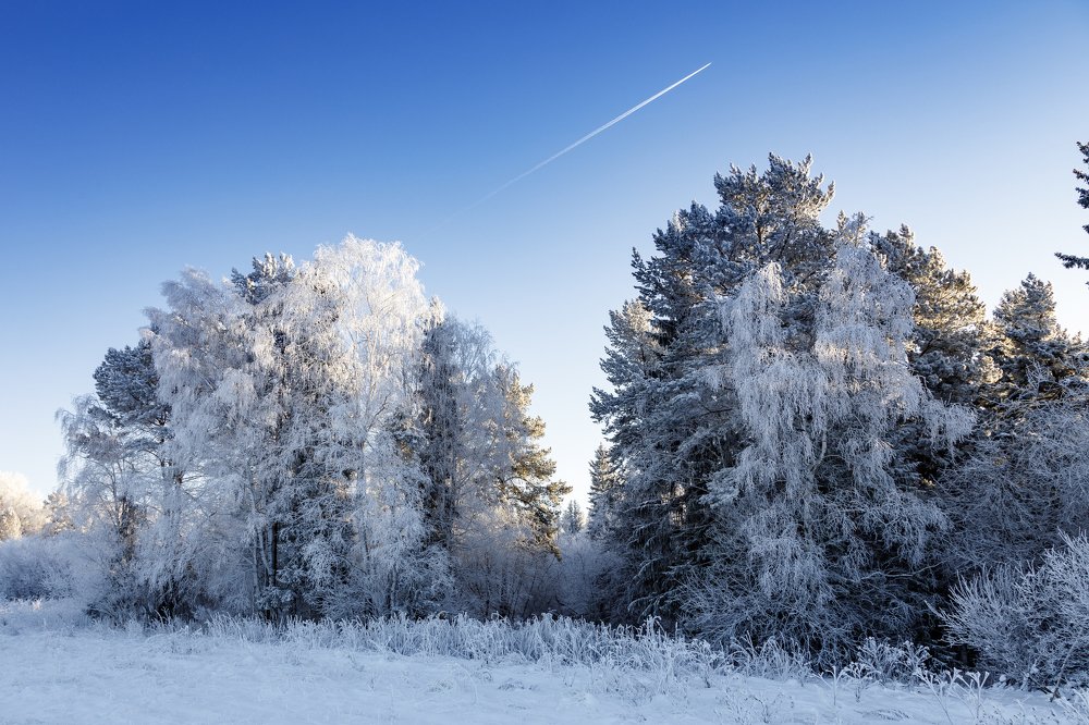 Photograph by Евгений Наймушин