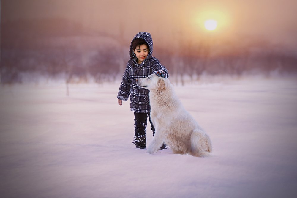 Photograph by mohsen mikaeili