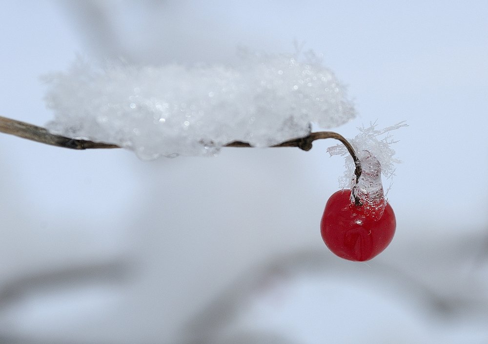 Photograph by Галина Патрушева