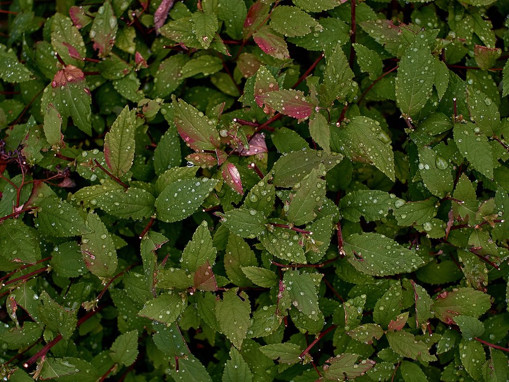 Фотография автора Игорь Игоревич